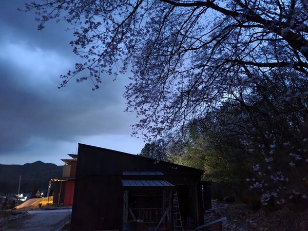 쥐들이 침입한 2동 후문.