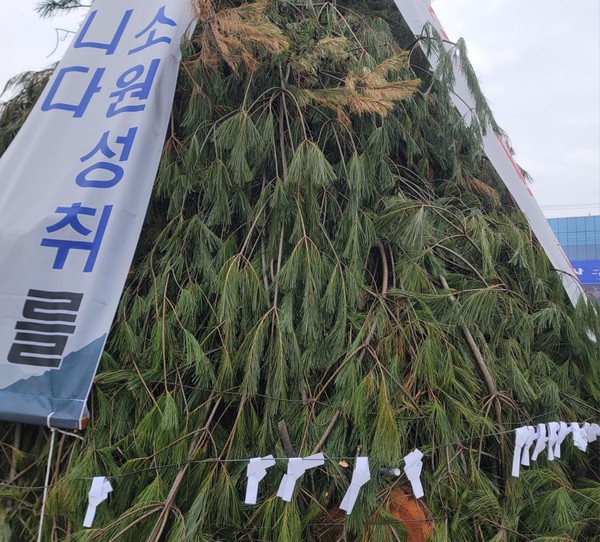 소원을 적어 달집에 매달아놓았다.