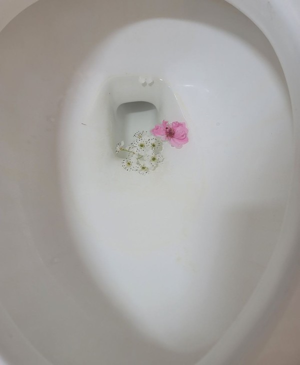 수세식 변기. 최보식의언론 자료사진.