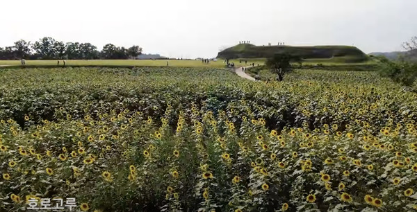 연천군 호로고루. 연천군 유튜브 캡처
