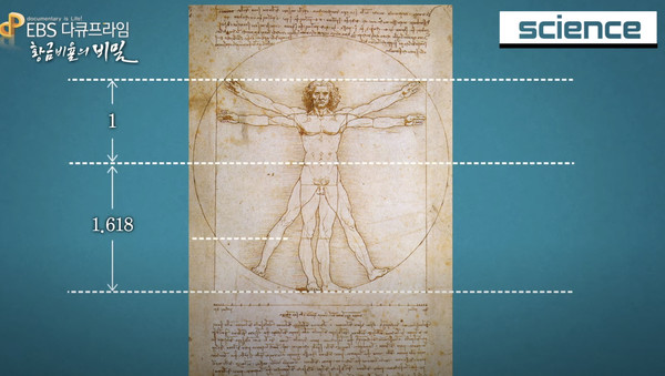 황금비율. EBS 캡처