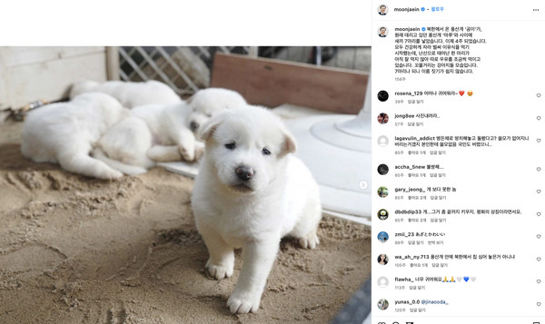 문재인 전 대통령의 페이스북에서 '곰이'와 '마루'의 새끼들 캡처