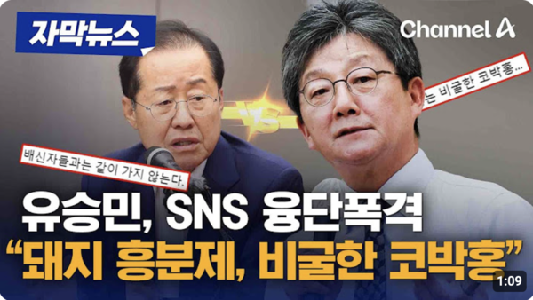 채널 A 뉴스 캡처