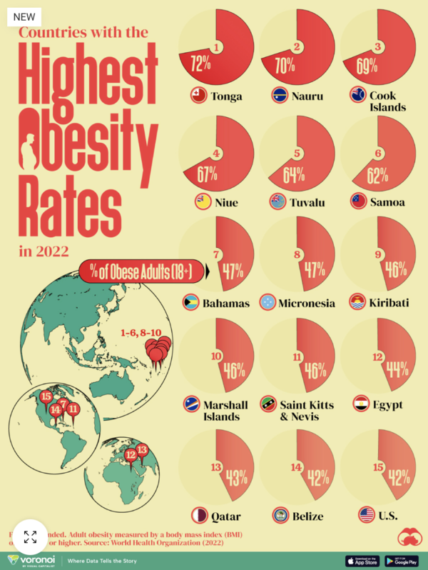 비주얼캐피탈리스트 캡처