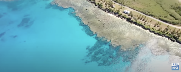 남태평양의 어느 섬. EBS 다큐멘터리 캡처
