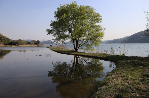 남양주에 있는 다산길.