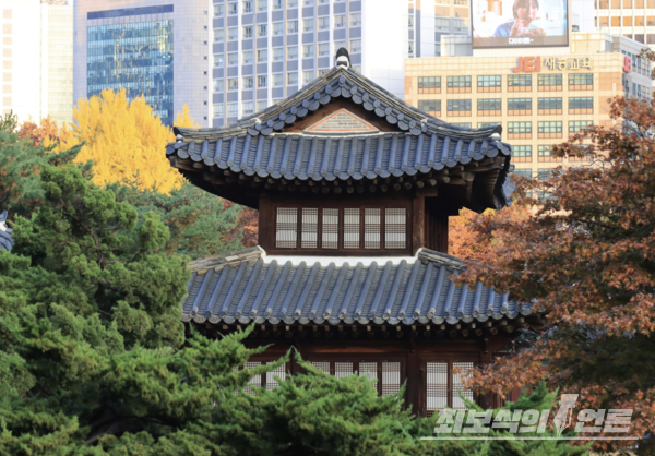 사진 윤일원 논설위원