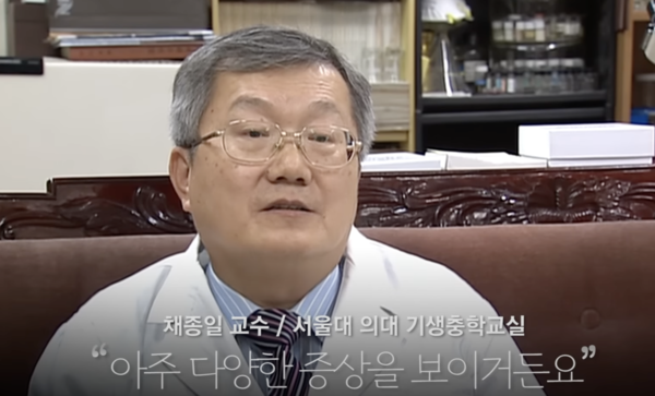 필자. 엠빅뉴스 캡처