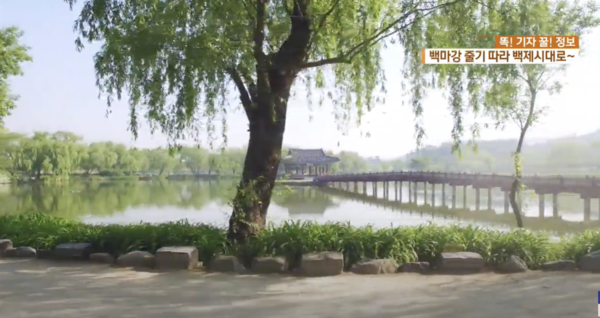 백마강강. KBS 뉴스 캡처