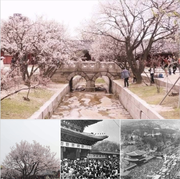 전집현 SNS 캡처