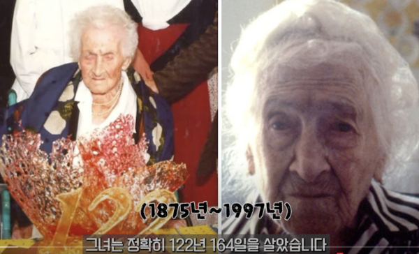 지식그램 영상 캡처