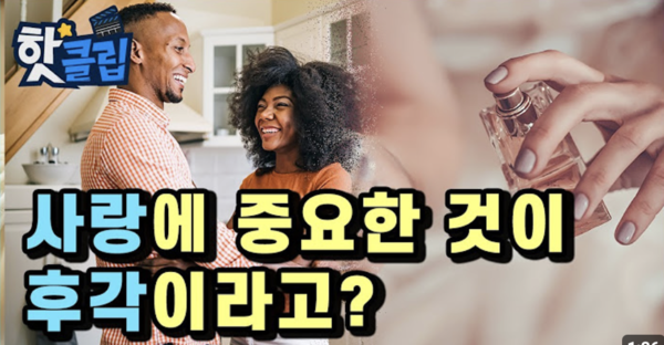 YTN사이언스 캡처