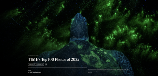 자외선 빛이 푸른바다거북의 등껍질 위에 남겨진 사람의 손자국을 드러낸 장면. 타임지 캡처.