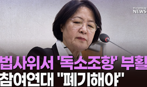 뉴스TVCHOSUN 캡처