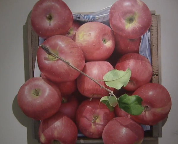 윤병락의 '사과', KBS 뉴스 캡처