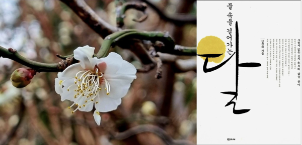 김진태가 지은 '물 속을 걸어가는 달'(학고재 출판사) 표지. 