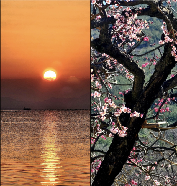 사진 이병철 시인