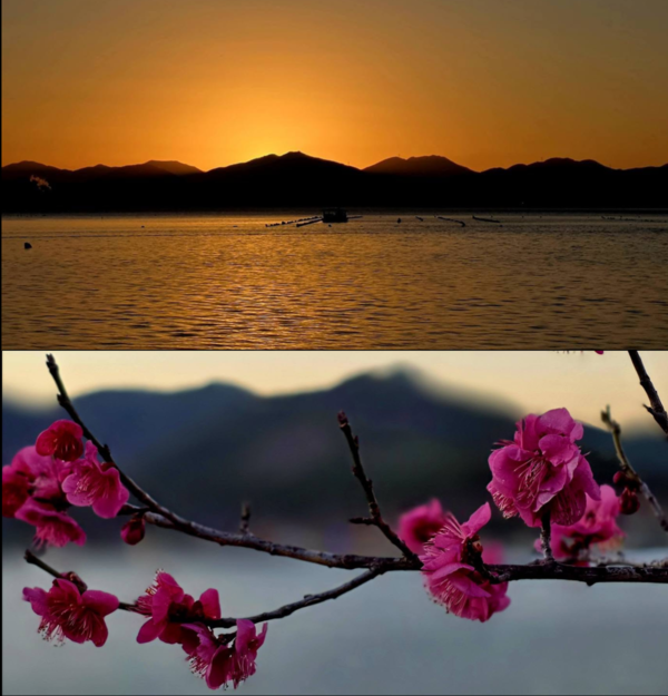 사진 이병철 시인