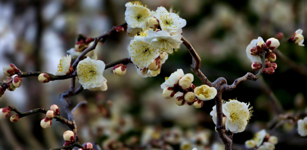 사진 이병철 시인