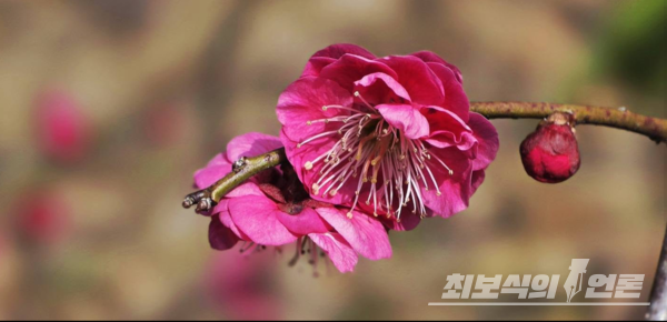 사진 이병철 시인